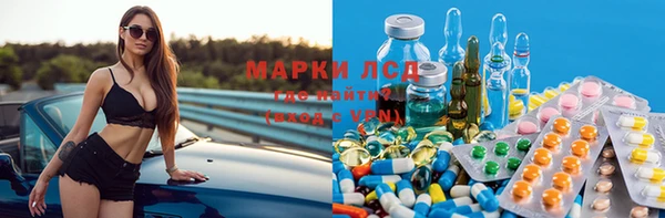 дживик Арсеньев