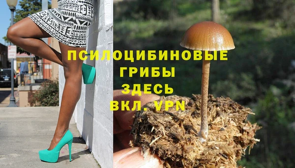 дживик Арсеньев